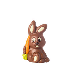 MOULAGE LAPIN CAROTTE 40G